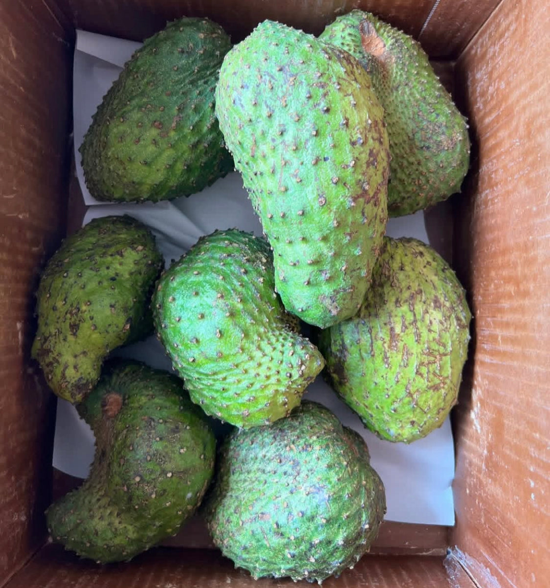 Soursop Local Atlanta PICKUP (GUANABANA)