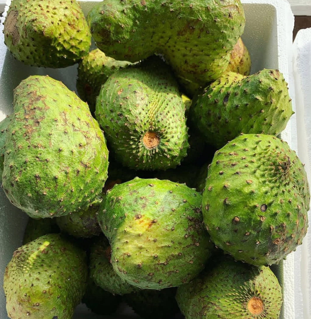 Soursop USA Shipping (GUANABANA)