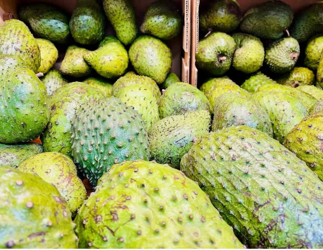 Soursop USA Shipping (GUANABANA)