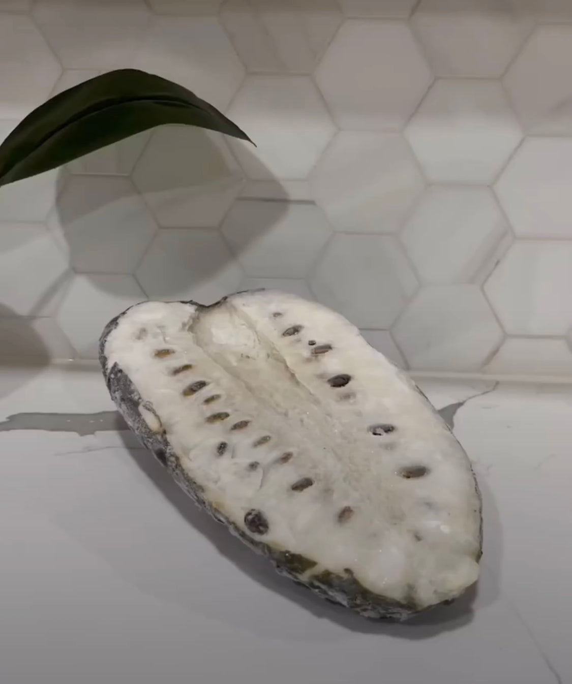 Soursop USA Shipping (GUANABANA)