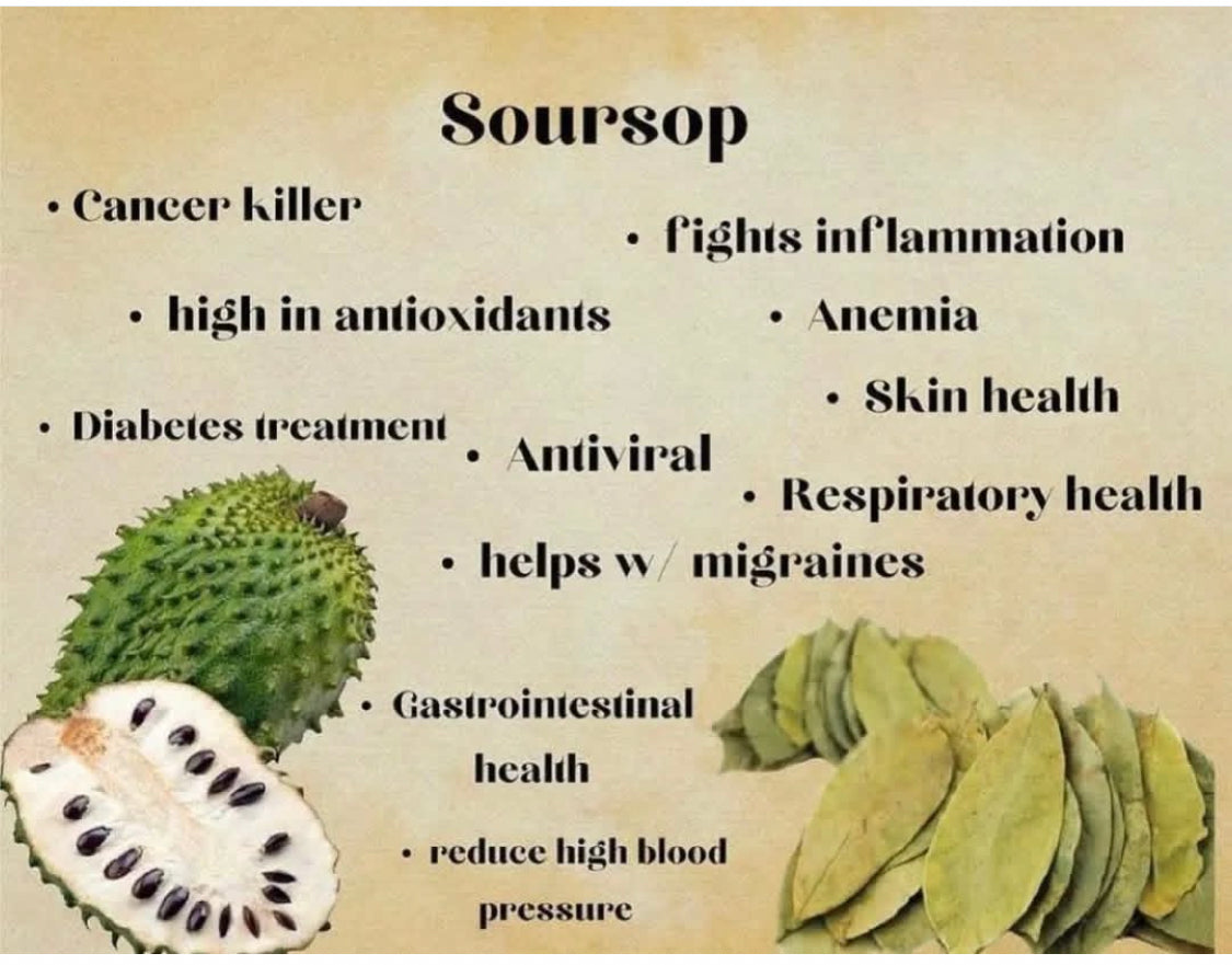 Soursop Local Atlanta PICKUP (GUANABANA)