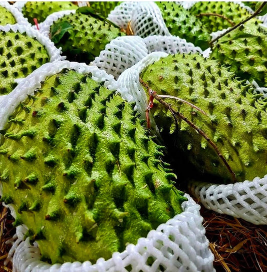 Soursop Local Atlanta PICKUP (GUANABANA)